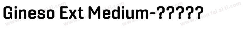 Gineso Ext Medium字体转换
